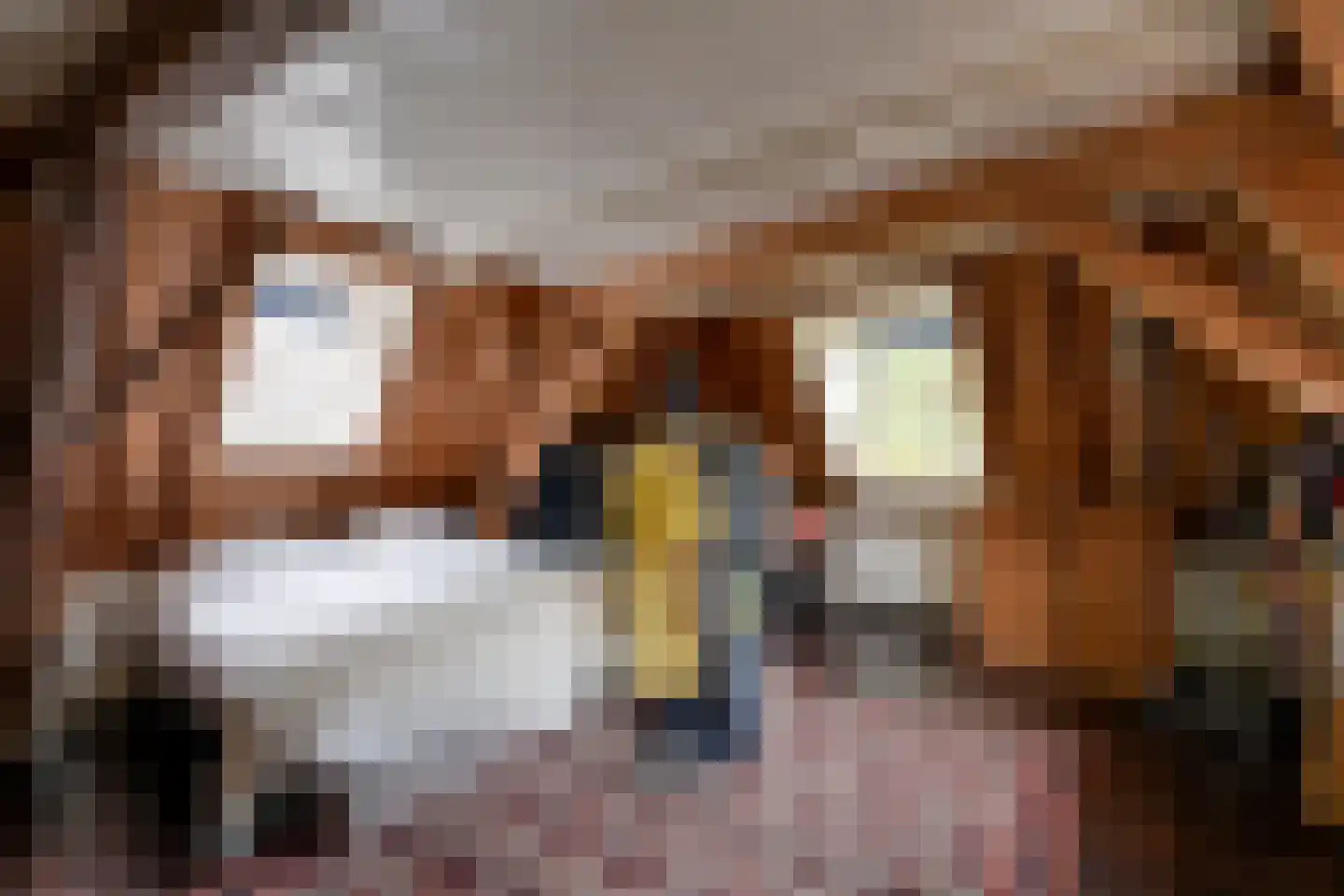 Nieuwegracht 88 Utrecht thumbnail 66