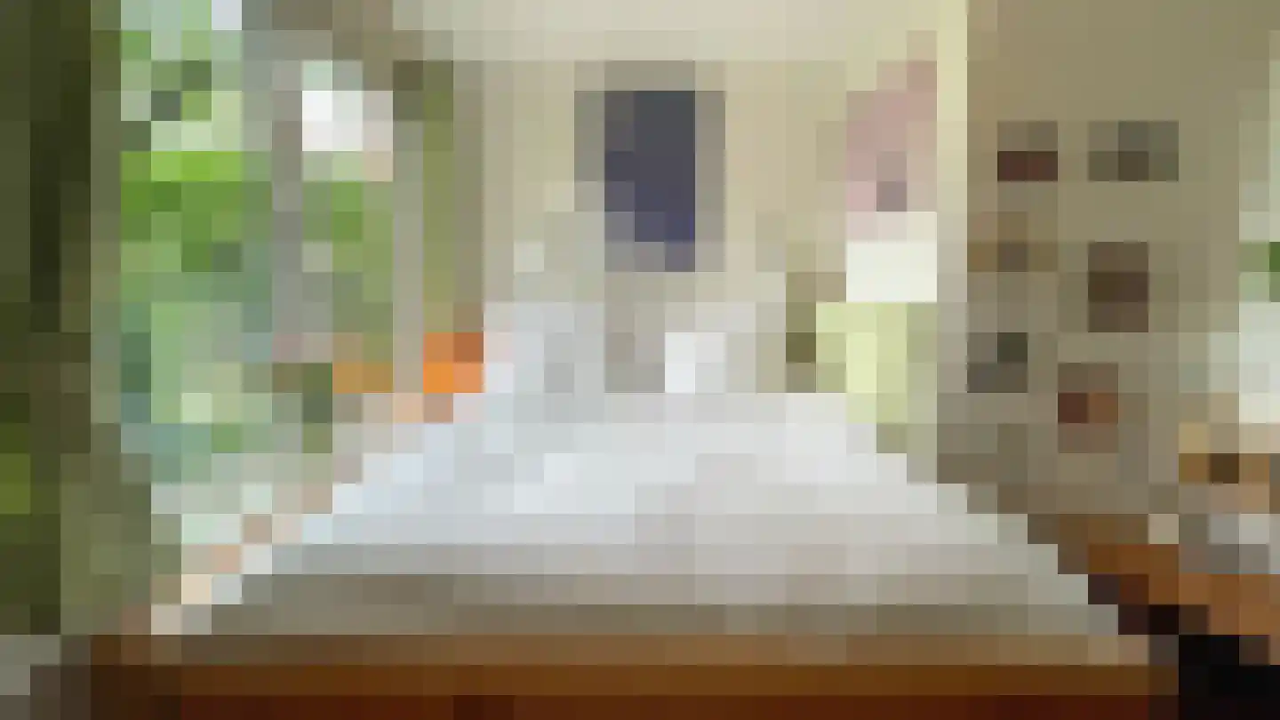 Nieuwegrachtje 26 Amsterdam thumbnail 11
