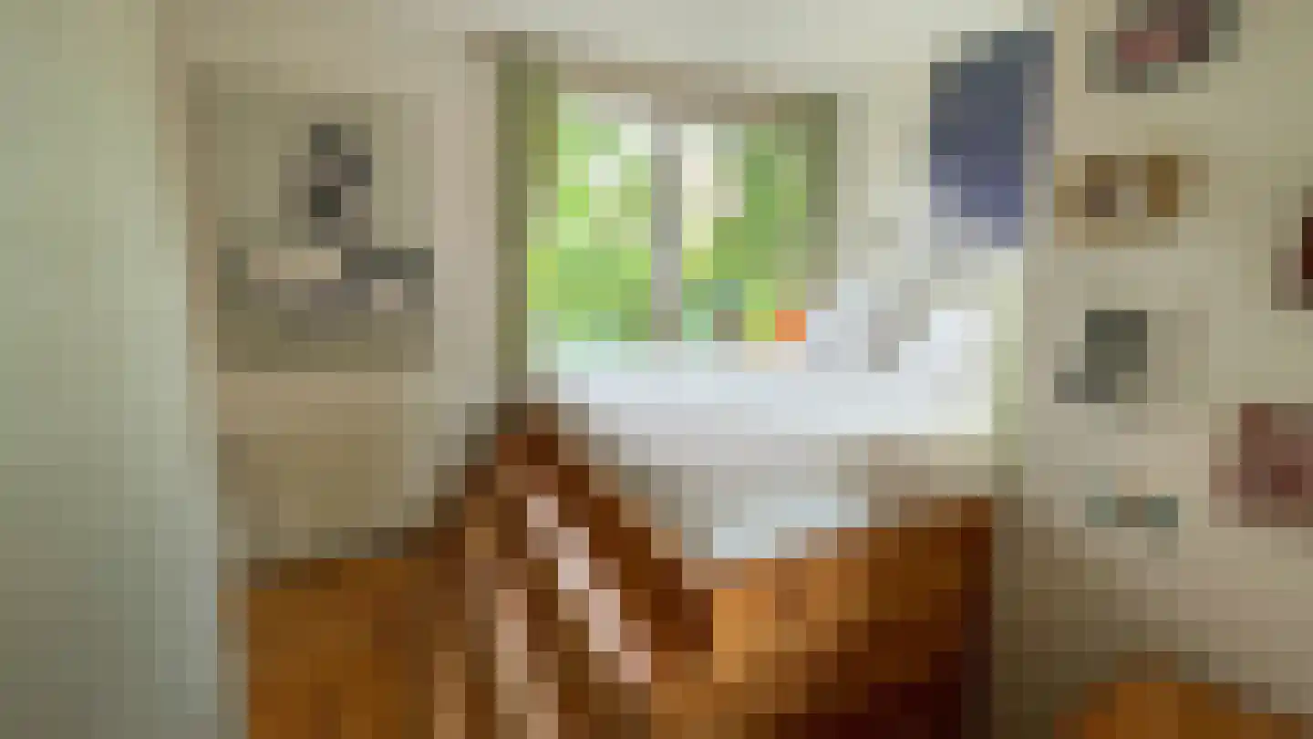 Nieuwegrachtje 26 Amsterdam thumbnail 12