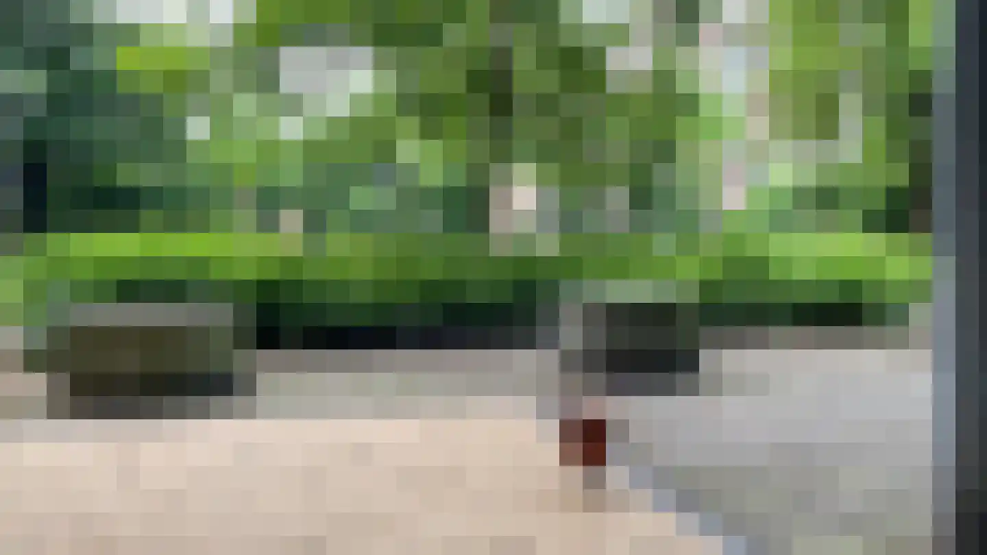Nieuwegrachtje 26 Amsterdam thumbnail 16