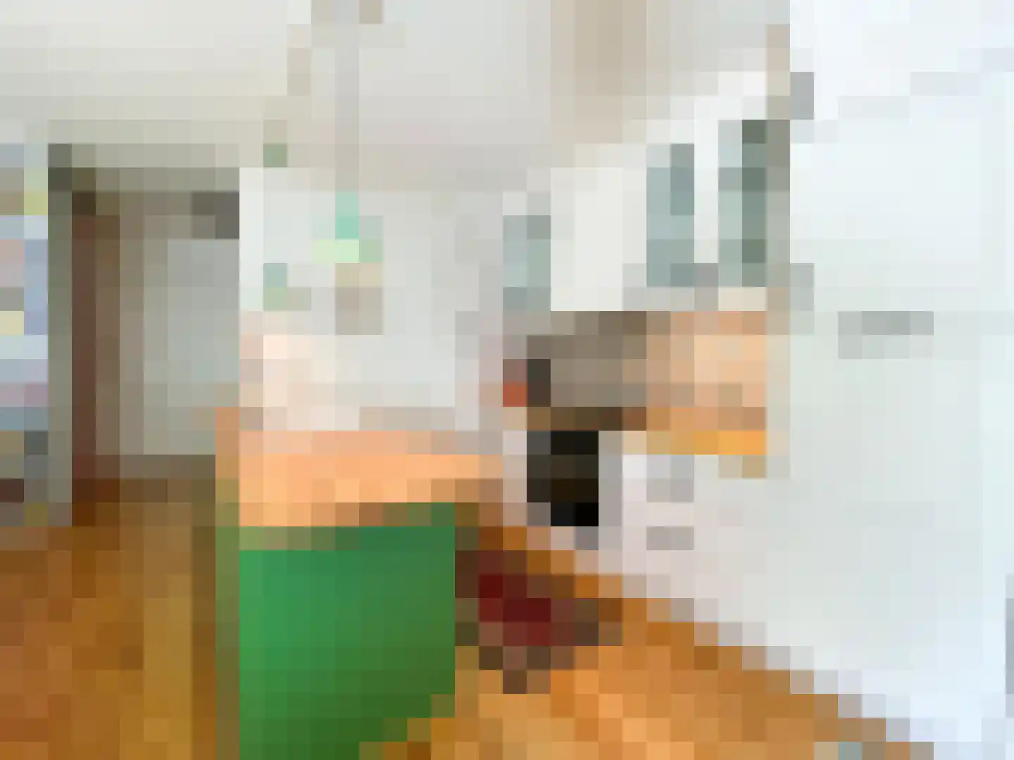 Nieuwegrachtje 26 Amsterdam thumbnail 6
