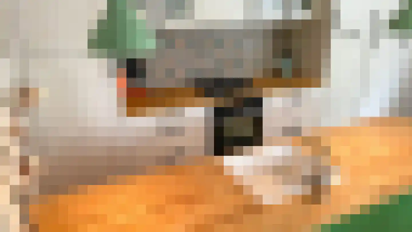 Nieuwegrachtje 26 Amsterdam thumbnail 8