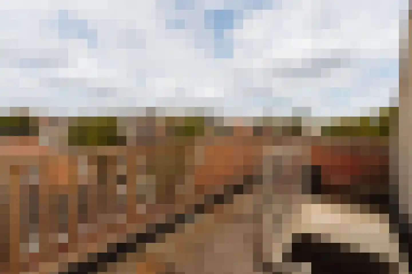 Nieuwegrachtje 7 4 Amsterdam thumbnail 22