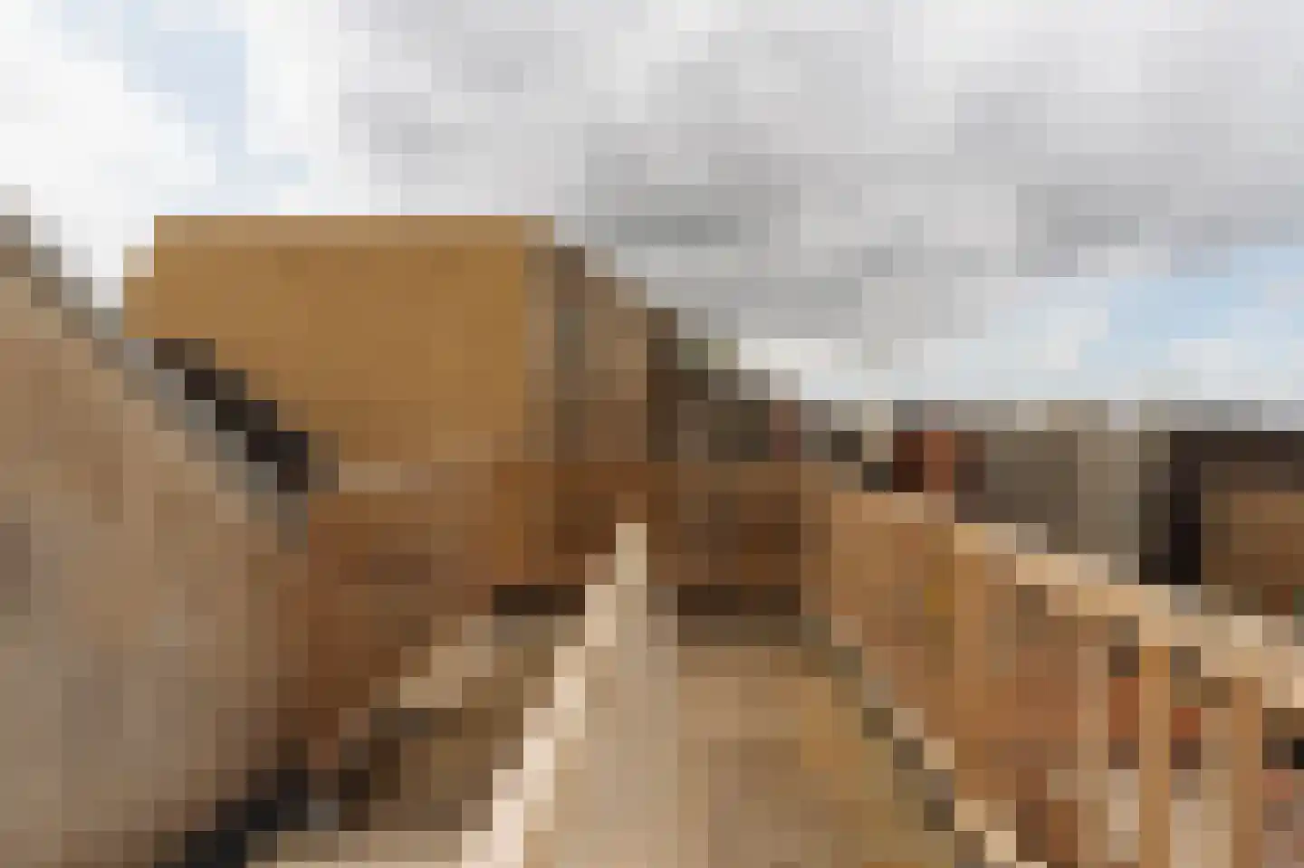 Nieuwegrachtje 7 4 Amsterdam thumbnail 23