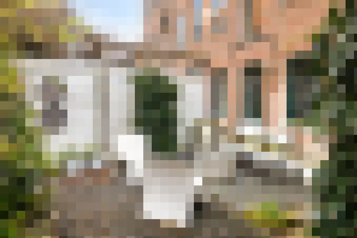 Nieuwehaven 19 b Edam thumbnail 63