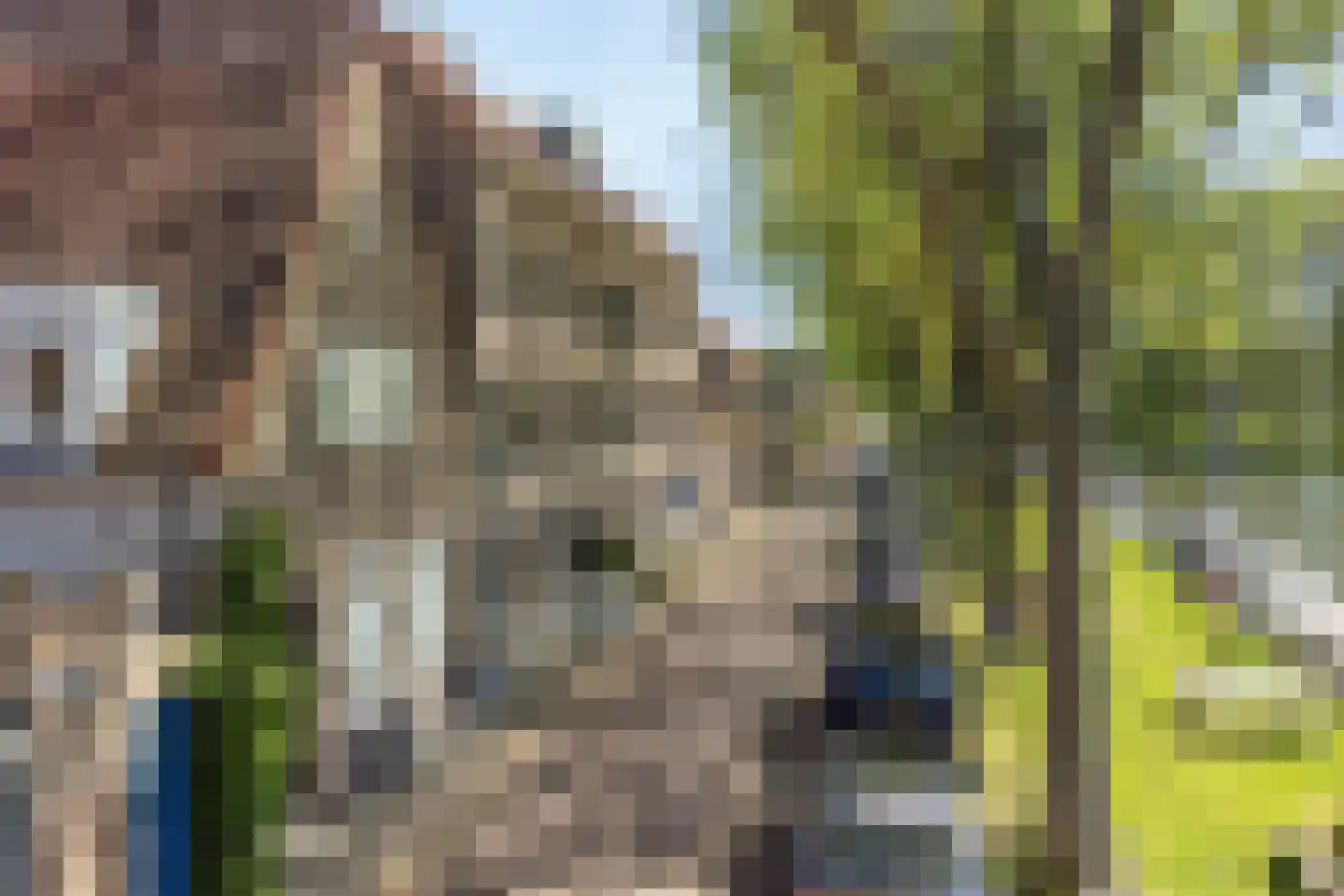 Nieuwehaven 19 c Edam thumbnail 47