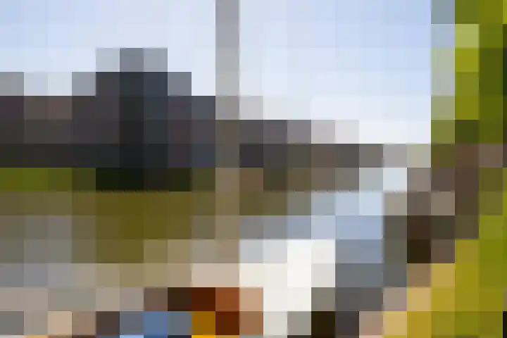 Nieuwehaven 20 Edam thumbnail 5