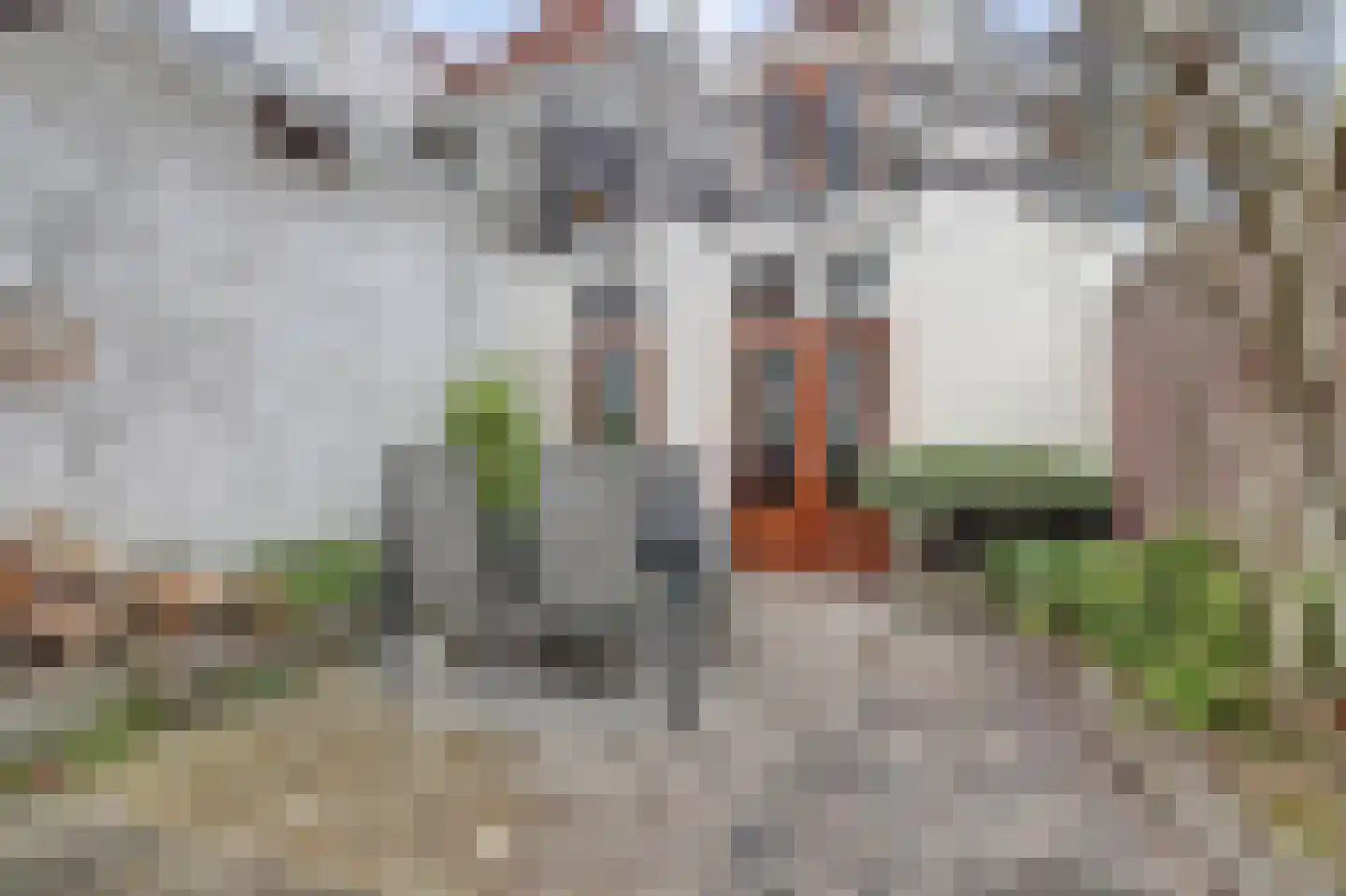 Nieuwehaven 229 Gouda thumbnail 27