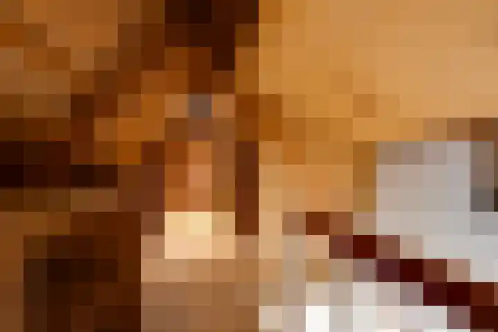 Nieuwehaven 68 Edam thumbnail 33