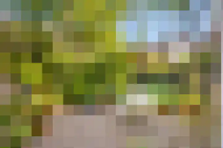 Nieuwekamp 16 Utrecht thumbnail 10