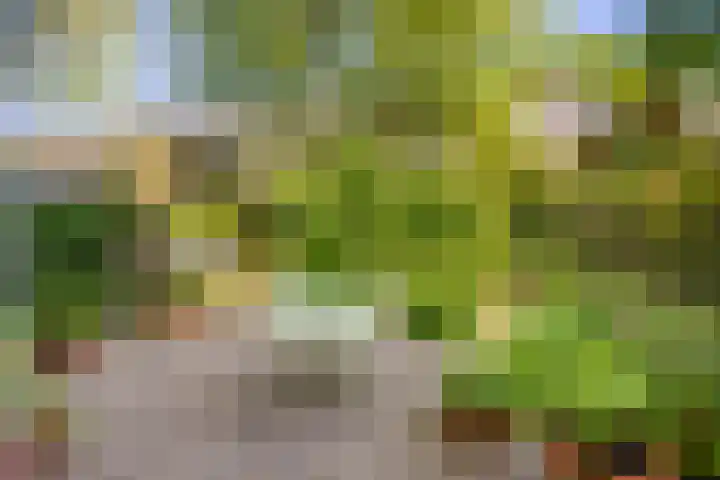Nieuwekamp 16 Utrecht thumbnail 12
