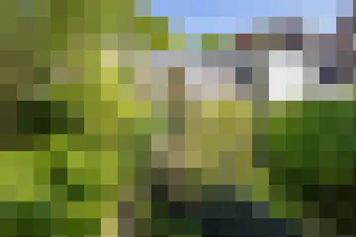 Nieuwekamp 16 Utrecht thumbnail 13