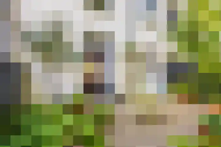 Nieuwekamp 16 Utrecht thumbnail 15