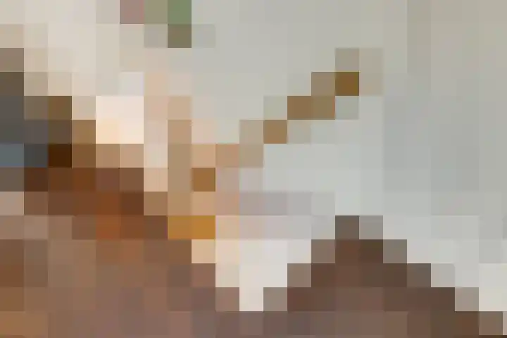 Nieuwekamp 16 Utrecht thumbnail 19