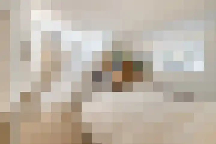 Nieuwekamp 16 Utrecht thumbnail 21