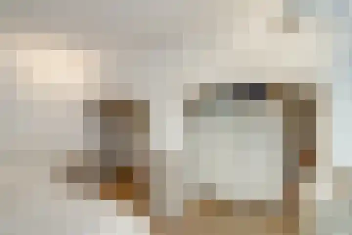 Nieuwekamp 16 Utrecht thumbnail 23