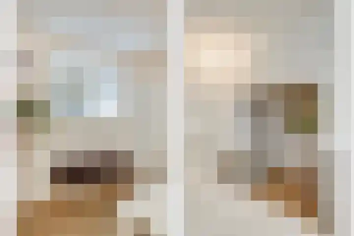 Nieuwekamp 16 Utrecht thumbnail 24