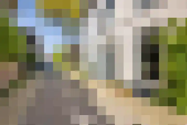 Nieuwekamp 16 Utrecht thumbnail 27
