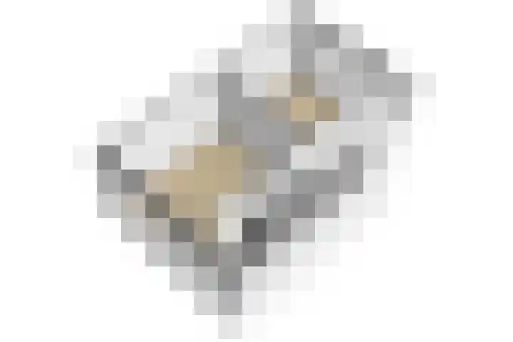 Nieuwekamp 16 Utrecht thumbnail 32