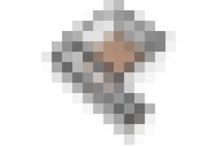 Nieuwekamp 16 Utrecht thumbnail 35