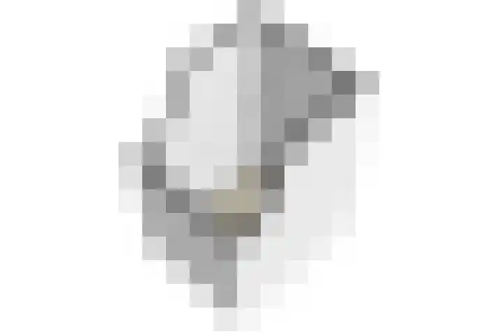 Nieuwekamp 16 Utrecht thumbnail 39