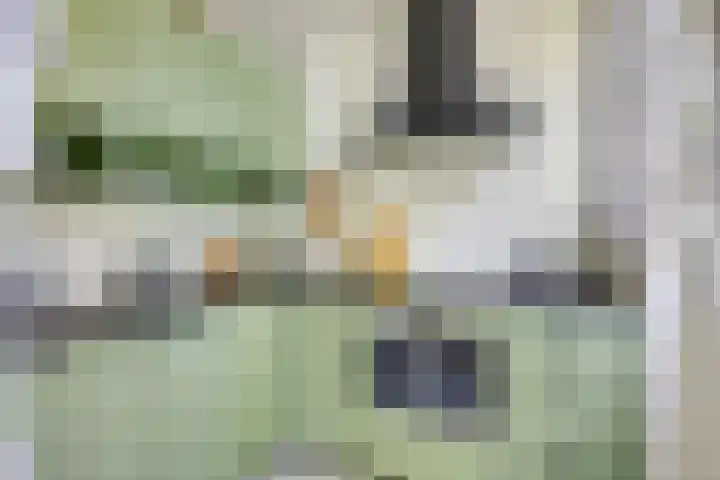 Nieuwekamp 16 Utrecht thumbnail 8