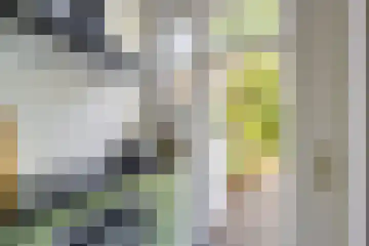 Nieuwekamp 16 Utrecht thumbnail 9