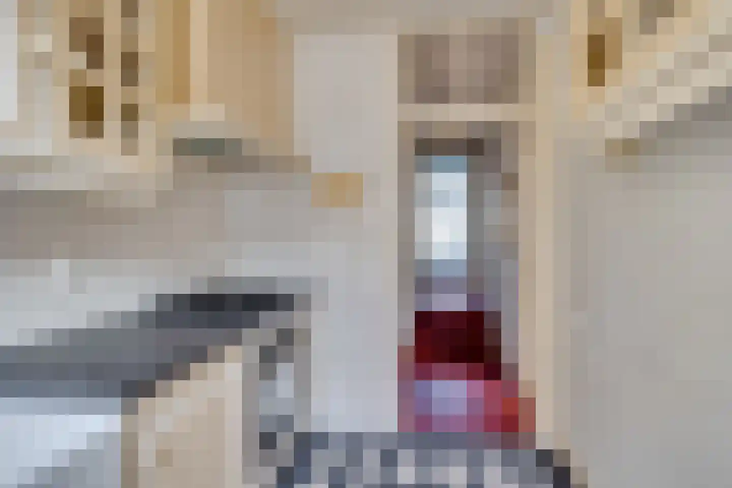 Nieuwekamp 18 BS Utrecht thumbnail 18
