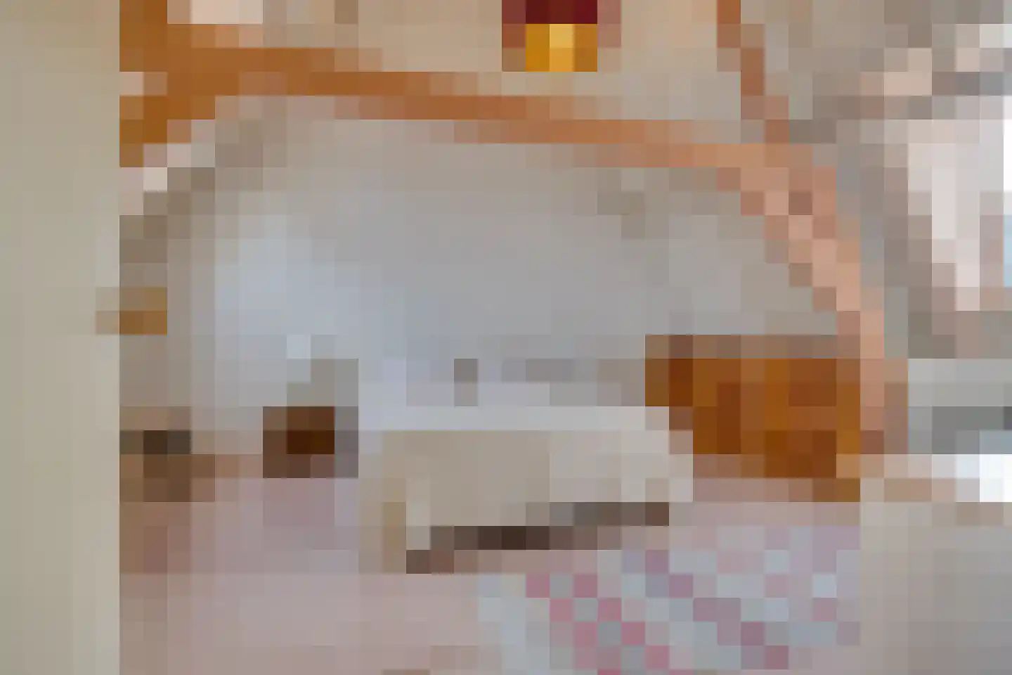 Nieuwekamp 18 BS Utrecht thumbnail 21