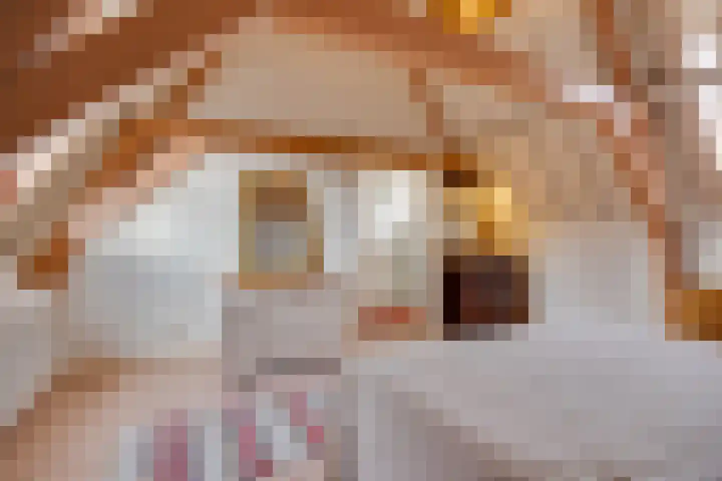 Nieuwekamp 18 BS Utrecht thumbnail 23