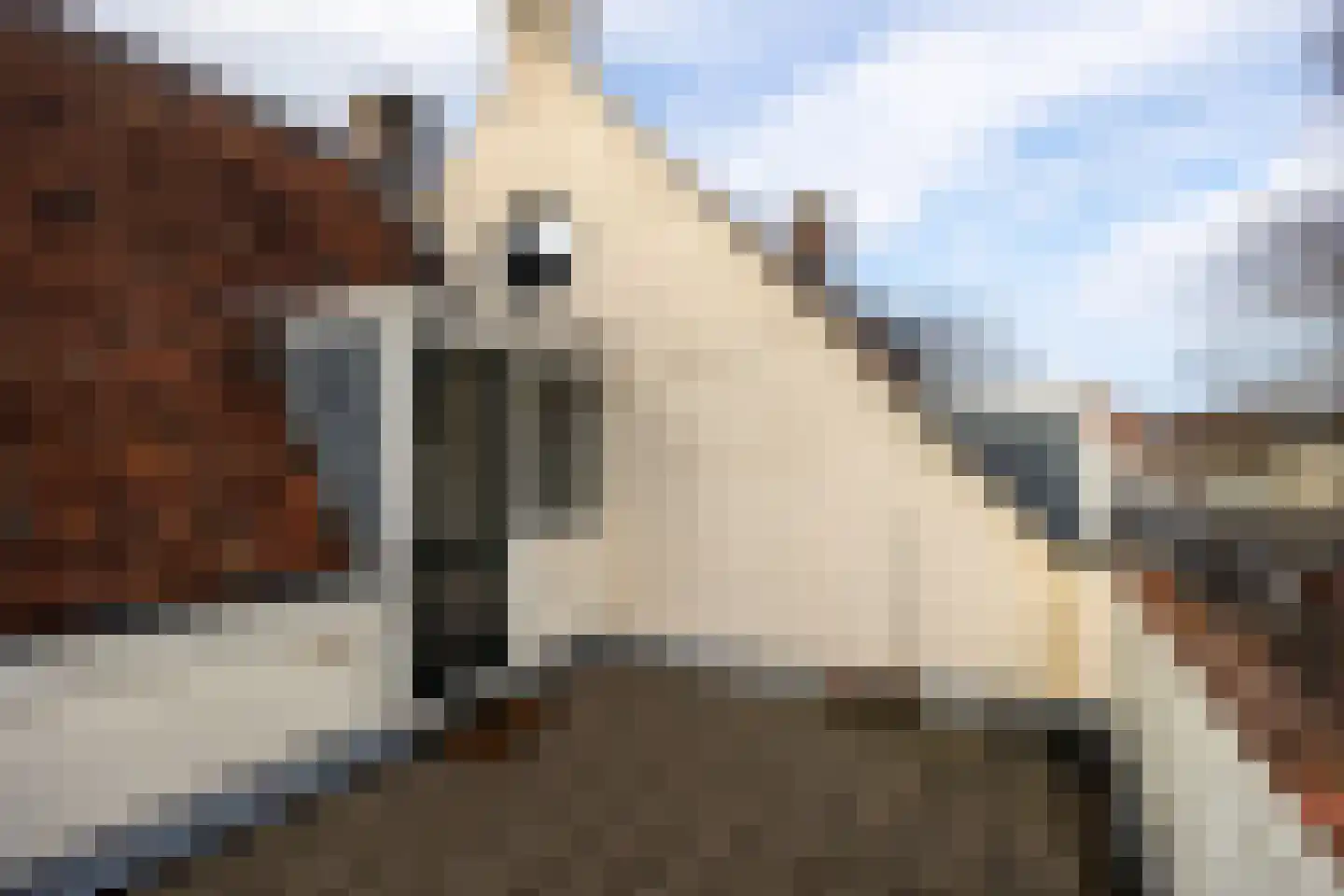 Nieuwekamp 18 BS Utrecht thumbnail 30