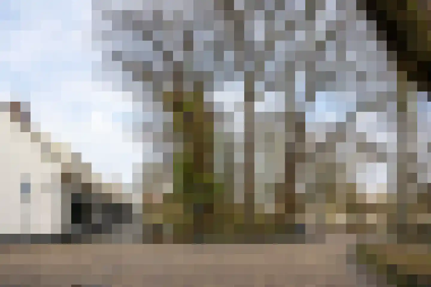 Nieuwekamp 18 BS Utrecht thumbnail 34