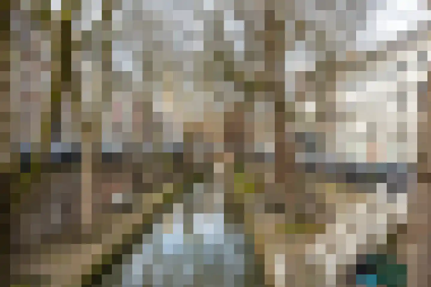 Nieuwekamp 18 BS Utrecht thumbnail 36