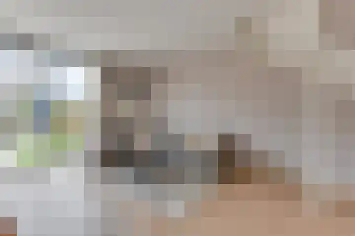 Nieuwelaan 1 d Heiloo thumbnail 10