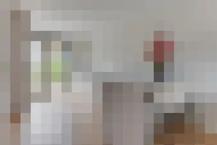 Nieuwelaan 1 d Heiloo thumbnail 12