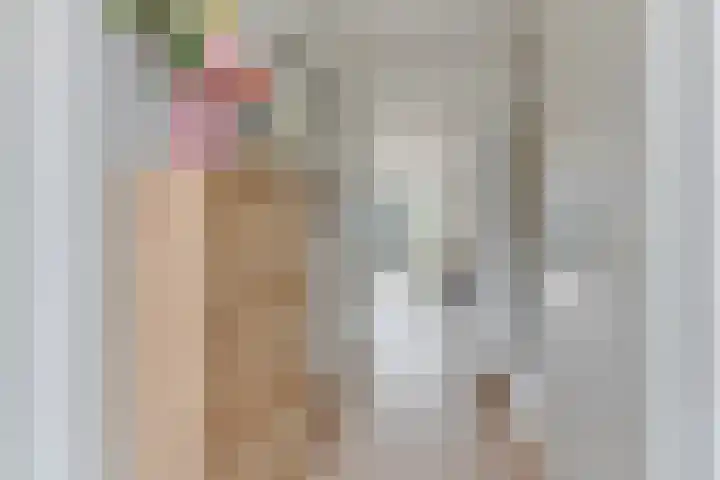Nieuwelaan 1 d Heiloo thumbnail 17