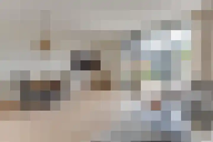 Nieuwelaan 1 d Heiloo foto 2