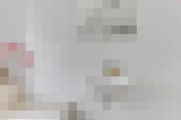 Nieuwelaan 1 d Heiloo thumbnail 22