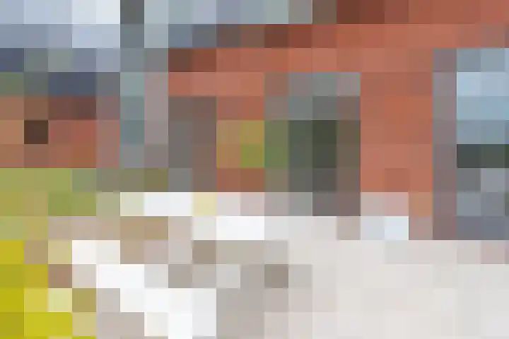 Nieuwelaan 1 d Heiloo thumbnail 5