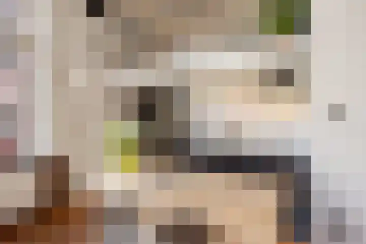 Nieuwelaan 124 Delft thumbnail 14