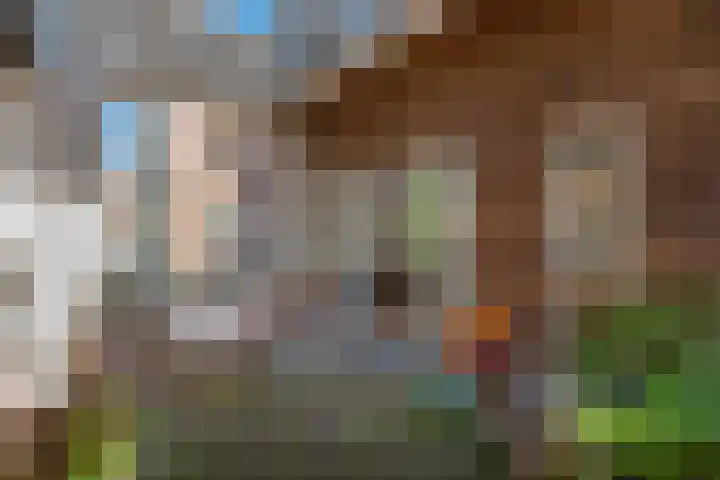 Nieuwelaan 124 Delft thumbnail 19
