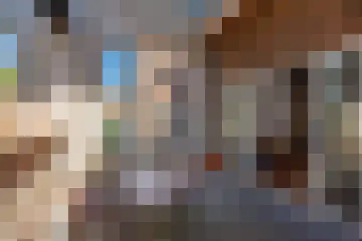 Nieuwelaan 124 Delft thumbnail 21