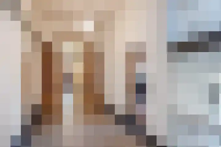 Nieuwelaan 124 Delft thumbnail 22
