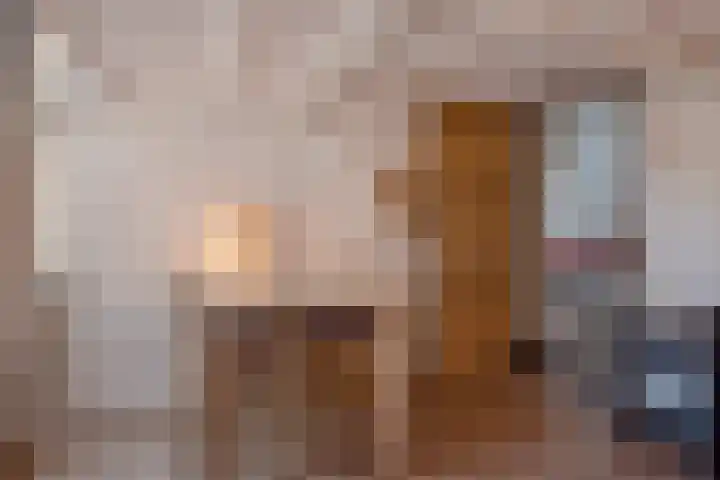 Nieuwelaan 124 Delft thumbnail 23