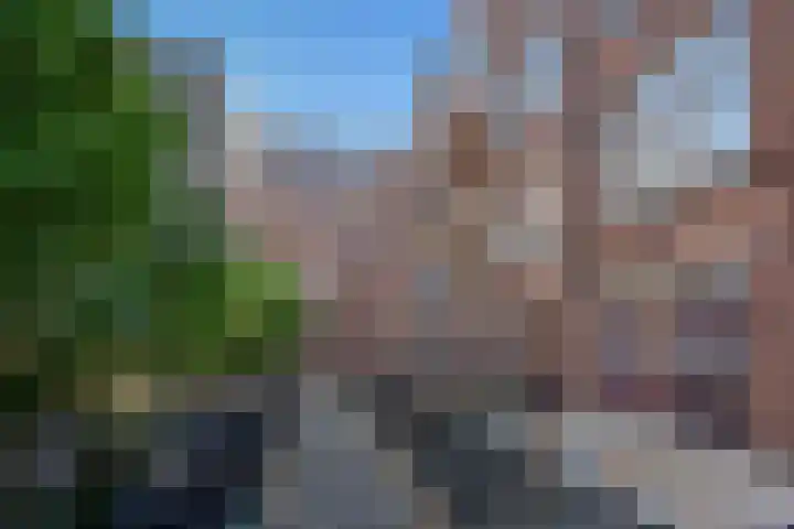 Nieuwelaan 124 Delft thumbnail 32
