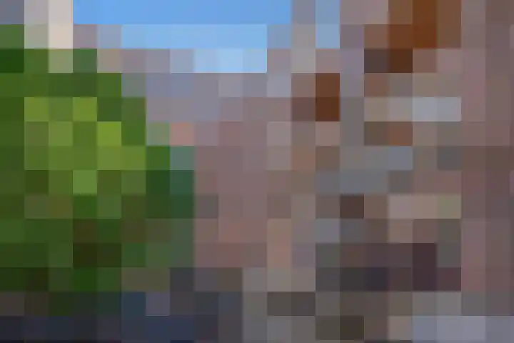 Nieuwelaan 124 Delft thumbnail 37
