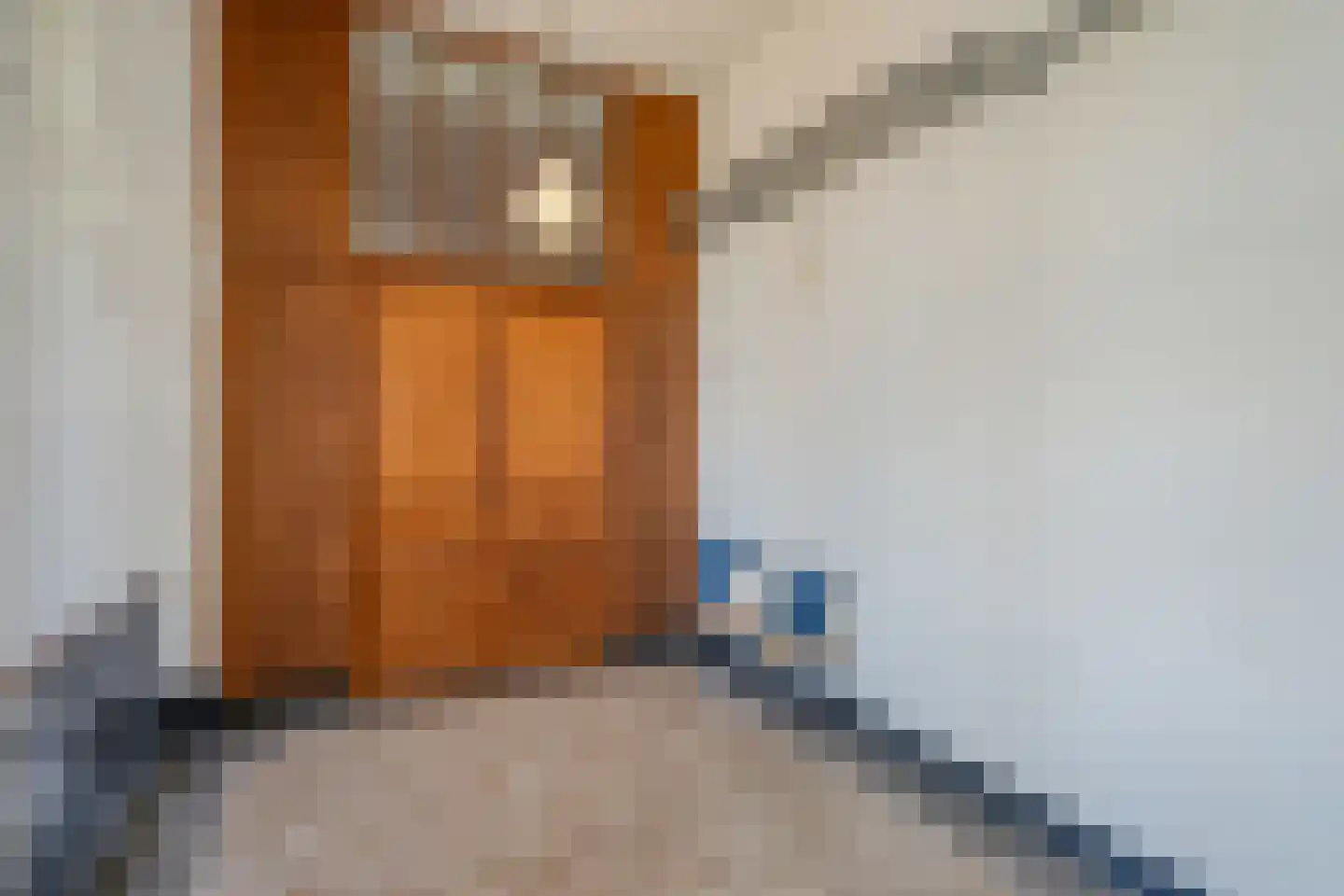 Nieuwelaan 148 Delft thumbnail 10