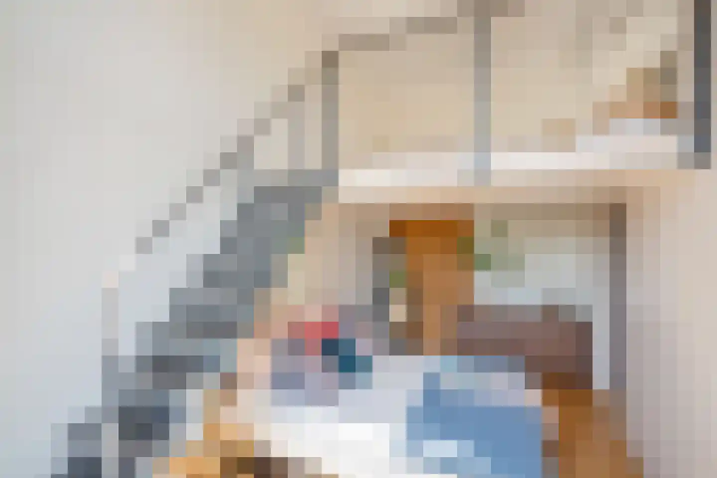 Nieuwelaan 148 Delft thumbnail 23