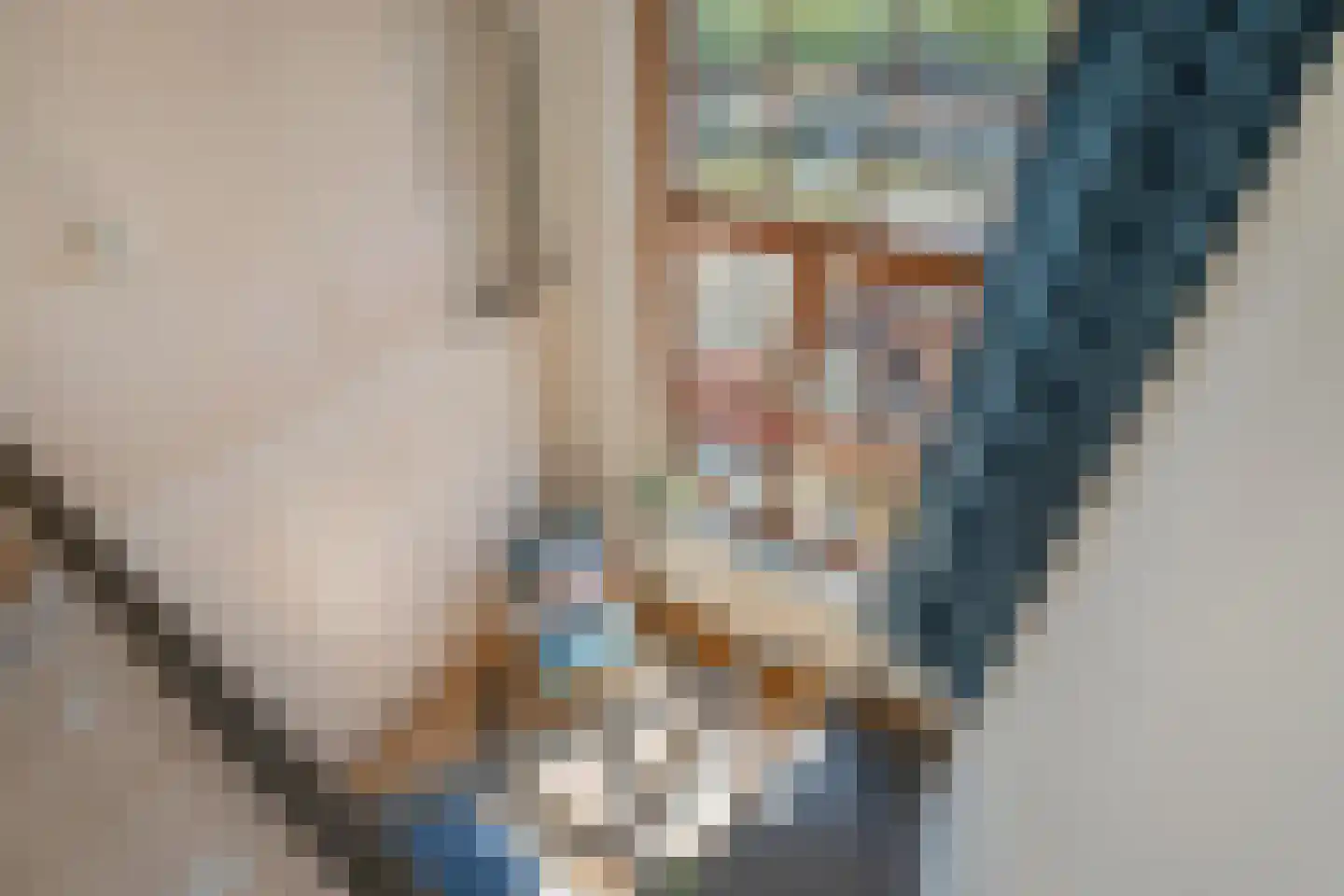 Nieuwelaan 148 Delft thumbnail 24