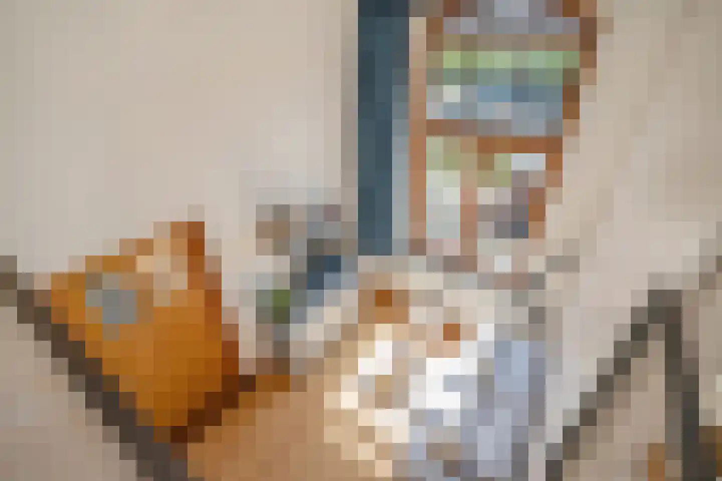 Nieuwelaan 148 Delft thumbnail 28